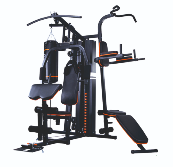 Altezani Gym 001 Силовая станция 