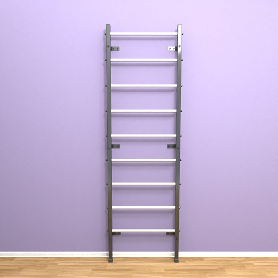 картинка Шведская стенка "LittleSport" (черный*белый) от магазина Лазалка