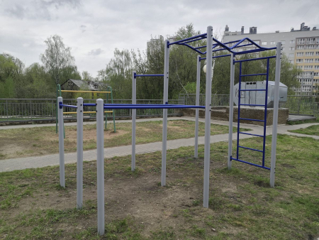 картинка Площадка Пионер Workout №2 от магазина Лазалка